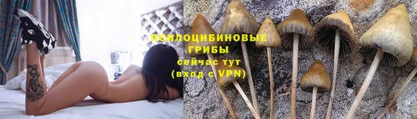 бошки Абаза