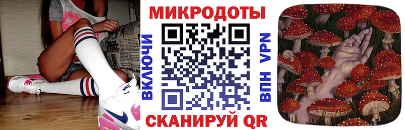 наркота  Шарыпово  Псилоцибиновые грибы ЛСД 