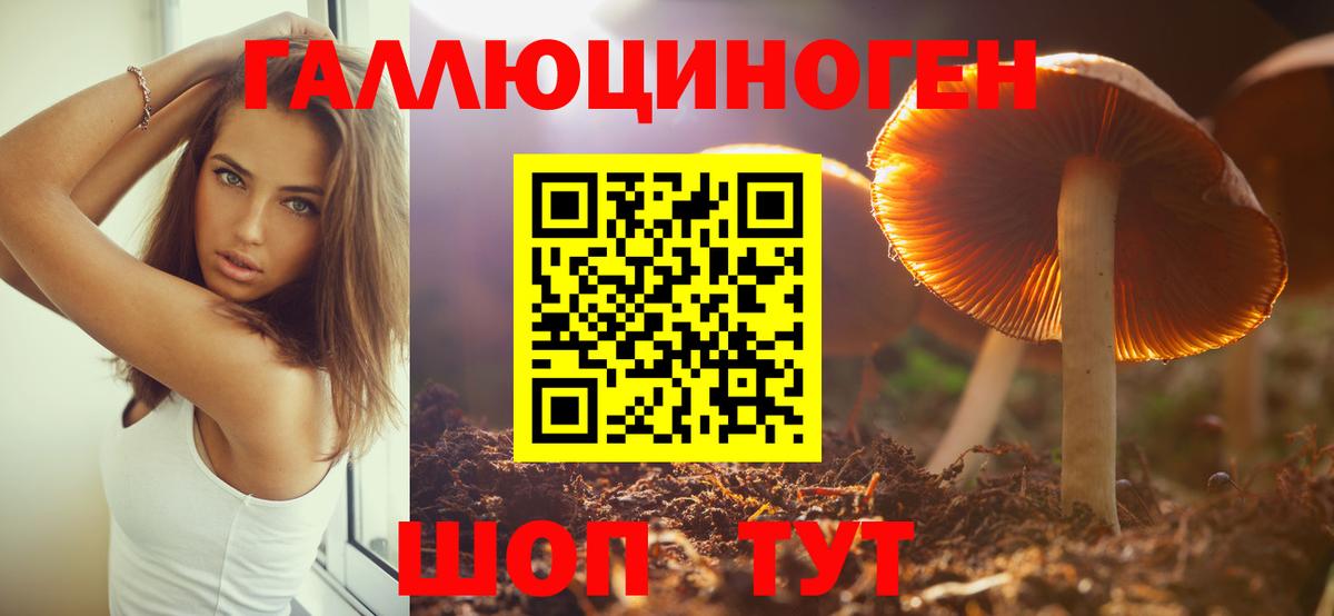 даркнет сайт  Галлюциногенные грибы ЛСД  Вход с VPN  Шарыпово 